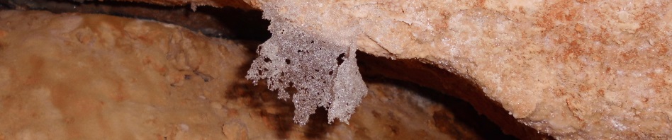 Salt crystal formation