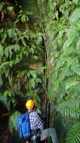 AG moss pit 4