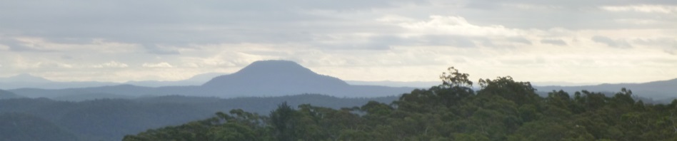 Mt Yengo in the distance